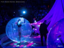 Családi hétvége a Fővárosi Nagycirkuszban